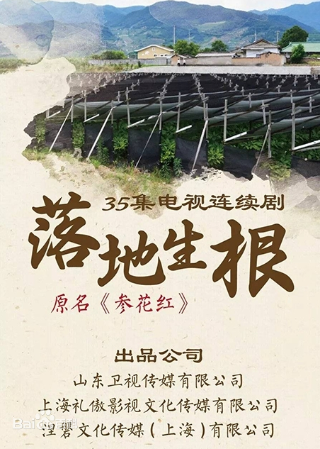 《落地生根》